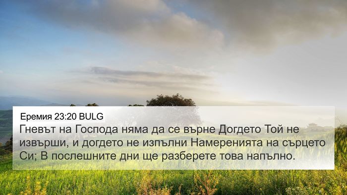 Еремия 23:20 BULG Bible Verse Image