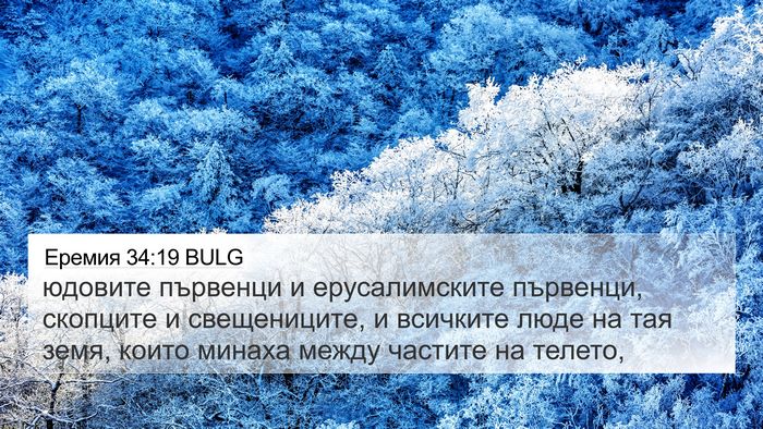 Еремия 34:19 BULG Bible Verse Image