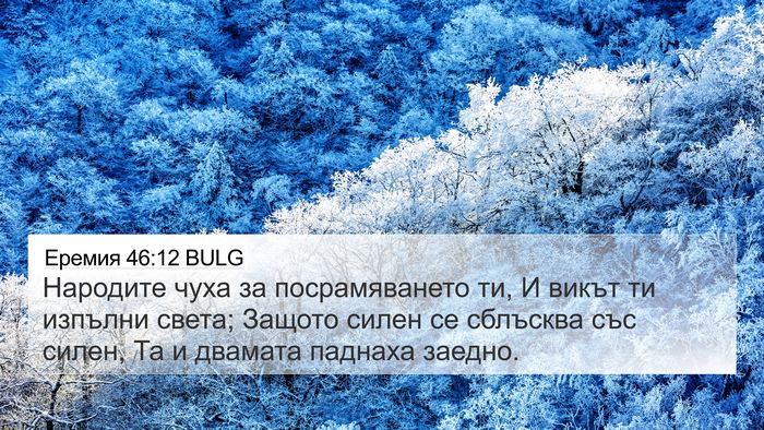 Еремия 46:12 BULG Bible Verse Image