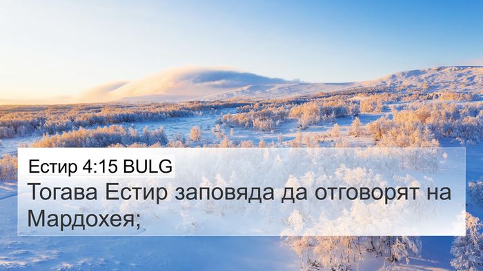 Естир 4:15 BULG Bible Verse Image