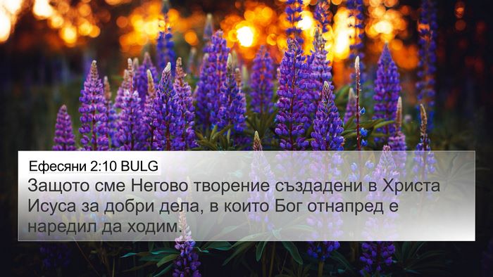 Ефесяни 2:10 BULG Bible Verse Image