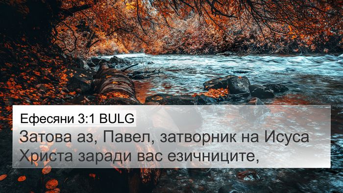 Ефесяни 3:1 BULG Bible Verse Image