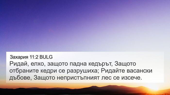 Захария 11:2 BULG Bible Verse Image
