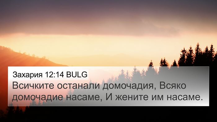 Захария 12:14 BULG 4K Wallpaper - Всичките останали - 4K Wallpaper Bible Verse