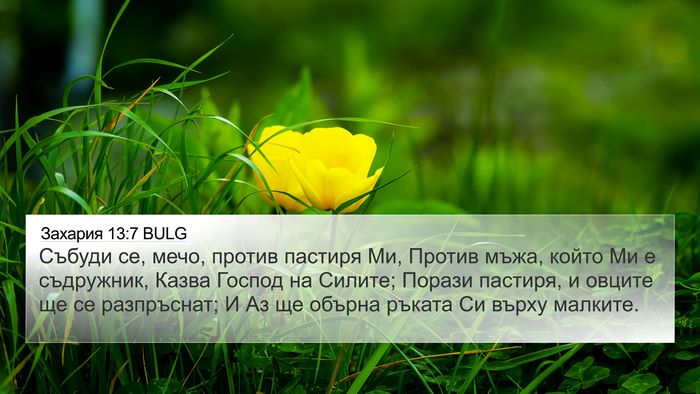 Захария 13:7 BULG Bible Verse Image