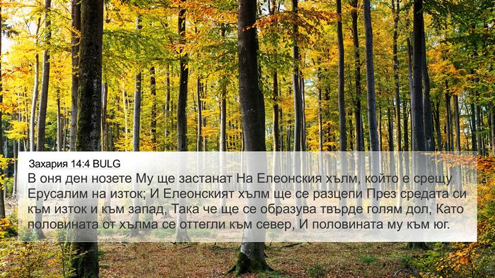 Захария 14:4 BULG Bible Verse Image
