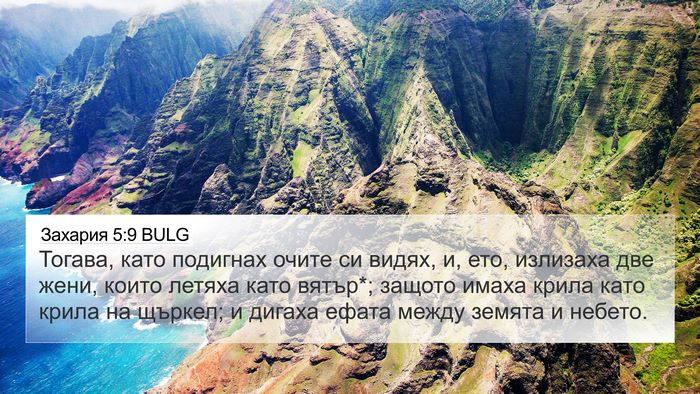 Захария 5:9 BULG Bible Verse Image