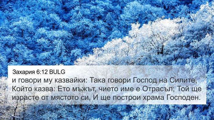 Захария 6:12 BULG Bible Verse Image