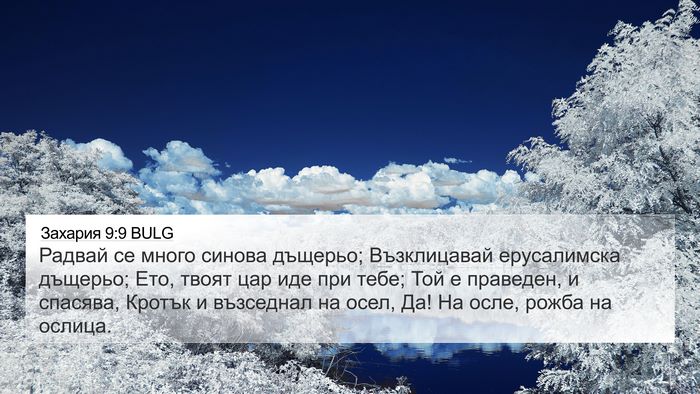 Захария 9:9 BULG Bible Verse Image