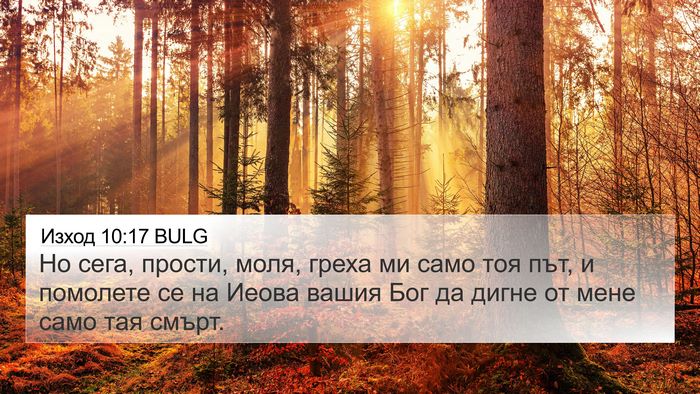 Изход 10:17 BULG Bible Verse Image
