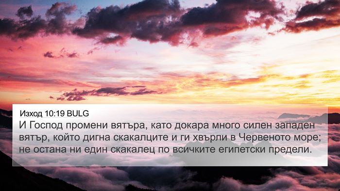 Изход 10:19 BULG Bible Verse Image