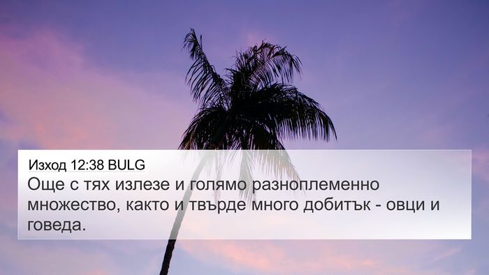 Изход 12:38 BULG Bible Verse Image