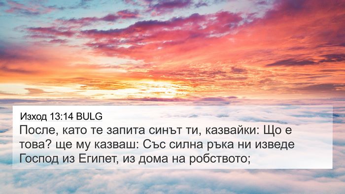 Изход 13:14 BULG Bible Verse Image