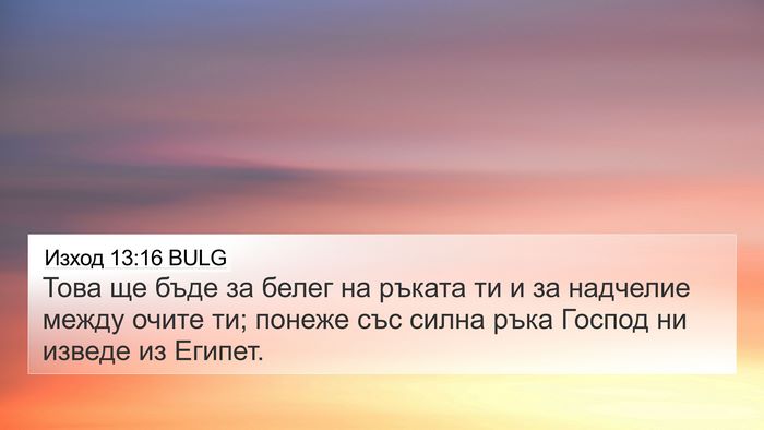 Изход 13:16 BULG Bible Verse Image