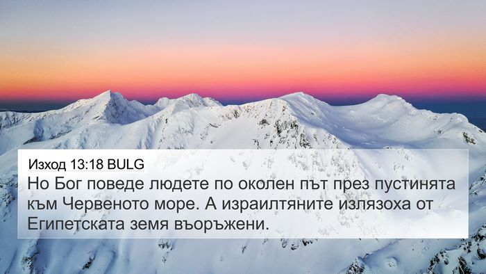 Изход 13:18 BULG Bible Verse Image
