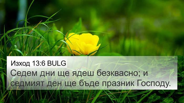 Изход 13:6 BULG Bible Verse Image
