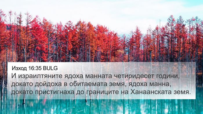 Изход 16:35 BULG Bible Verse Image