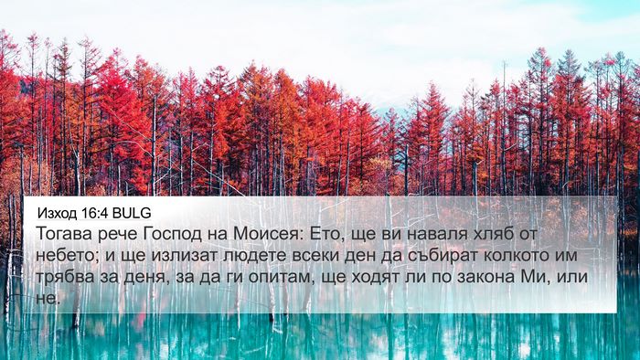 Изход 16:4 BULG Bible Verse Image
