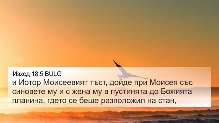 Изход 18:5 BULG Bible Verse Image