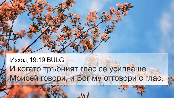 Изход 19:19 BULG Bible Verse Image