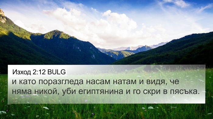 Изход 2:12 BULG 4K Wallpaper - и като поразгледа насам - 4K Wallpaper Bible Verse