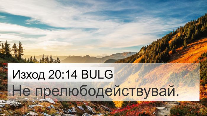 Изход 20:14 BULG Bible Verse Image