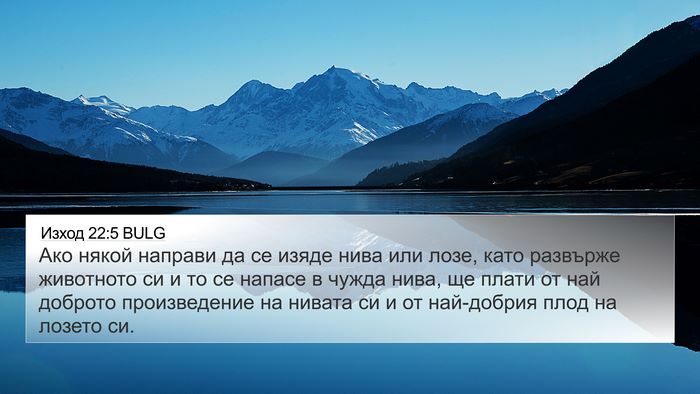 Изход 22:5 BULG 4K Wallpaper - Ако някой направи да се - 4K Wallpaper Bible Verse