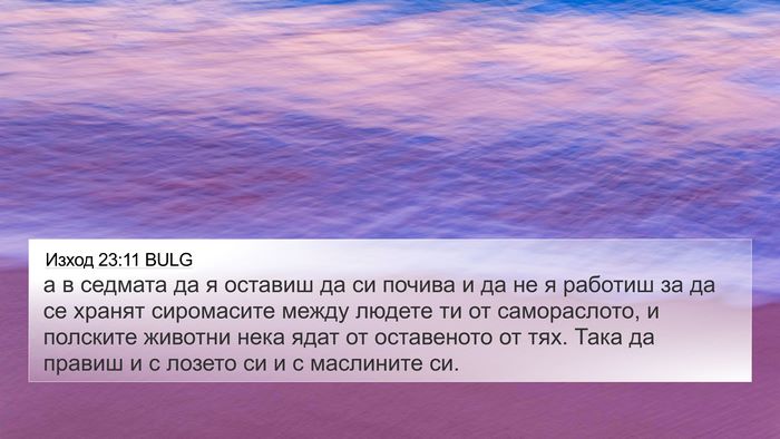 Изход 23:11 BULG 4K Wallpaper - а в седмата да я оставиш да - 4K Wallpaper Bible Verse