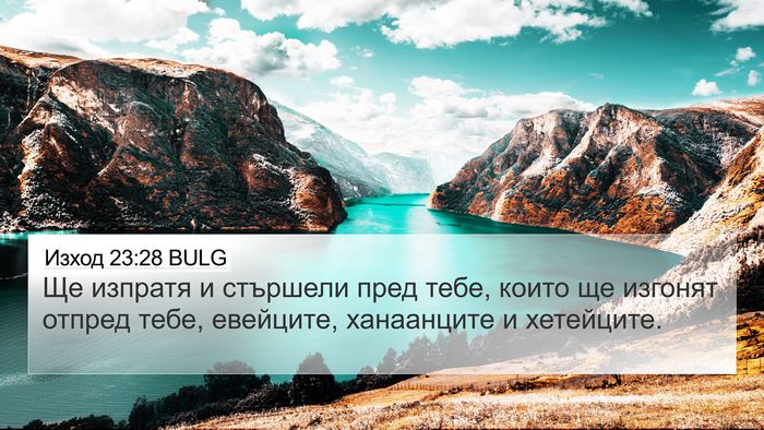 Изход 23:28 BULG Bible Verse Image