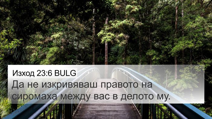 Изход 23:6 BULG Bible Verse Image