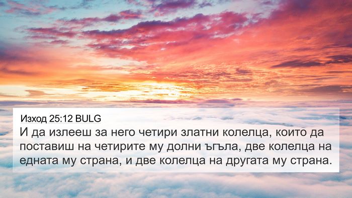 Изход 25:12 BULG Bible Verse Image