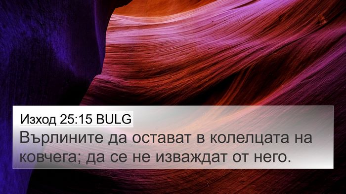 Изход 25:15 BULG Bible Verse Image