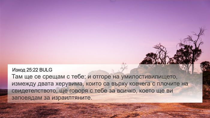 Изход 25:22 BULG Bible Verse Image