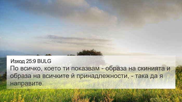 Изход 25:9 BULG Bible Verse Image