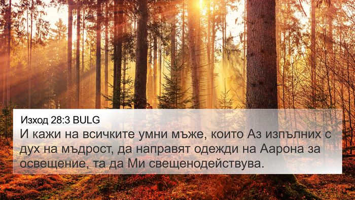Изход 28:3 BULG 4K Wallpaper - И кажи на всичките умни - 4K Wallpaper Bible Verse
