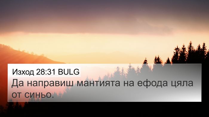 Изход 28:31 BULG Bible Verse Image