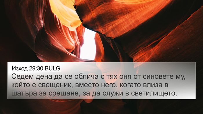 Изход 29:30 BULG Bible Verse Image