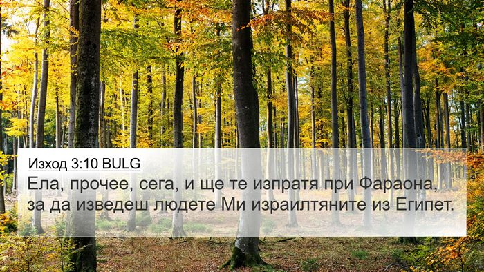 Изход 3:10 BULG Bible Verse Image