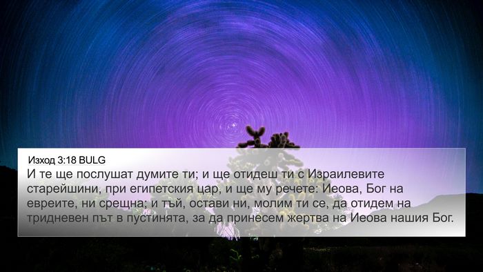 Изход 3:18 BULG Bible Verse Image