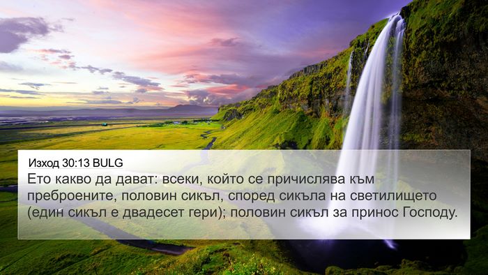 Изход 30:13 BULG Bible Verse Image