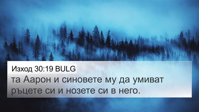 Изход 30:19 BULG Bible Verse Image