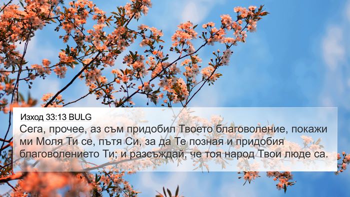 Изход 33:13 BULG Bible Verse Image