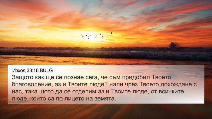 Изход 33:16 BULG Bible Verse Image