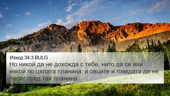 Изход 34:3 BULG 4K Wallpaper - Но никой да не дохожда с - 4K Wallpaper Bible Verse