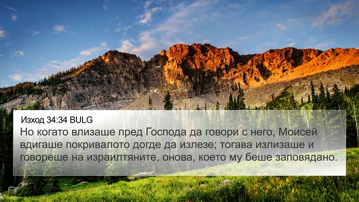 Изход 34:34 BULG 4K Wallpaper - Но когато влизаше пред - 4K Wallpaper Bible Verse