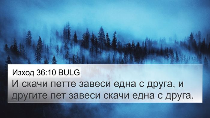 Изход 36:10 BULG Bible Verse Image