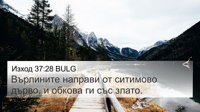 Изход 37:28 BULG 4K Wallpaper - Върлините направи от - 4K Wallpaper Bible Verse