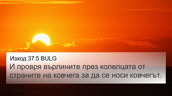 Изход 37:5 BULG 4K Wallpaper - И провря върлините през - 4K Wallpaper Bible Verse