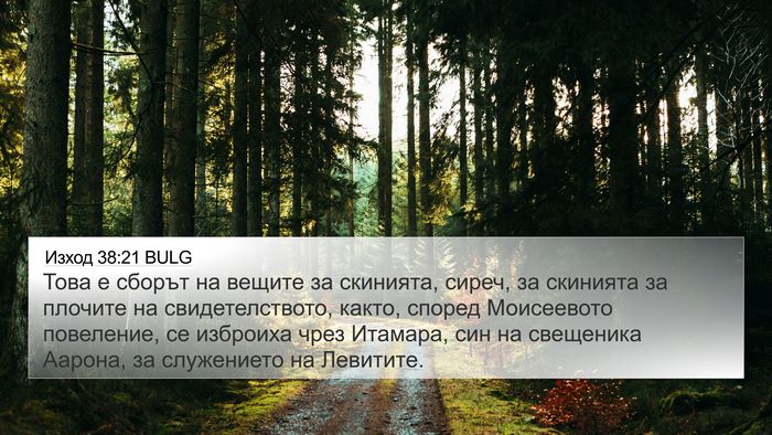 Изход 38:21 BULG Bible Verse Image