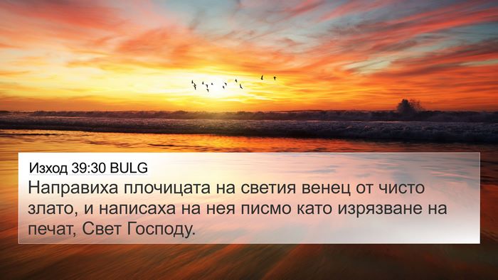 Изход 39:30 BULG Bible Verse Image